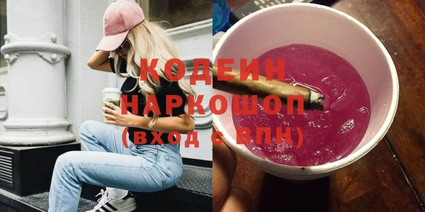 индика Абинск