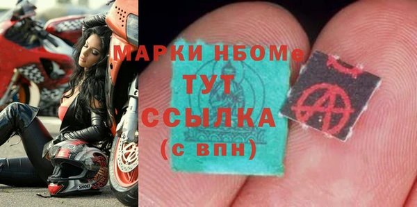 индика Абинск