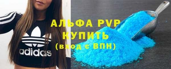 индика Абинск