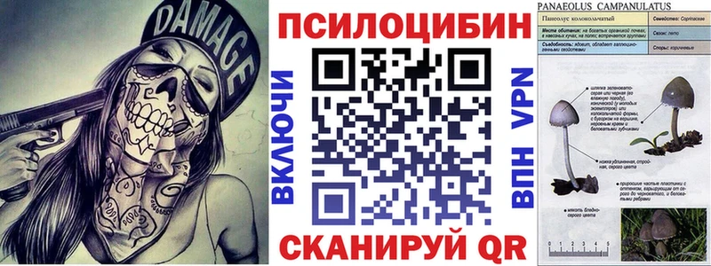 Псилоцибиновые грибы MAGIC MUSHROOMS  Саратов 