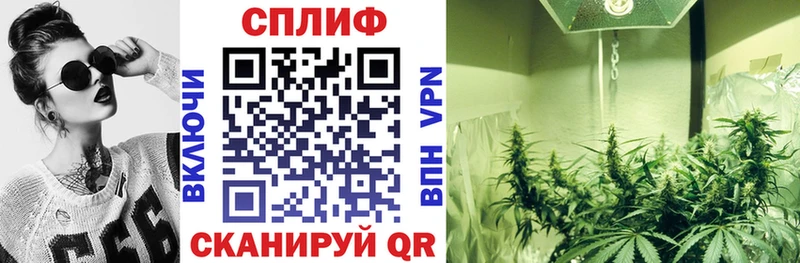 Конопля VHQ  блэк спрут сайт  Саратов 